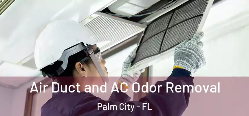  Air Duct and AC Odor Removal Palm City - FL