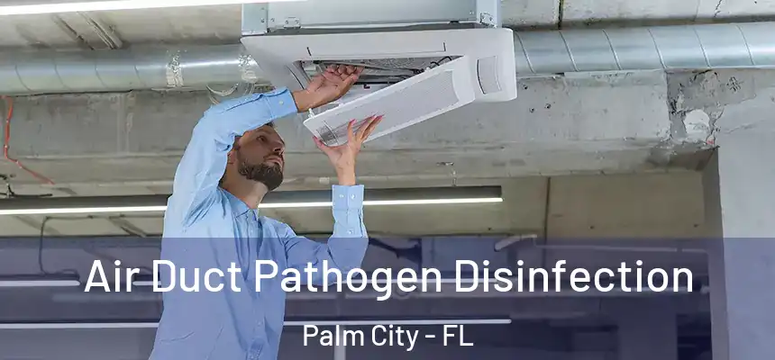  Air Duct Pathogen Disinfection Palm City - FL