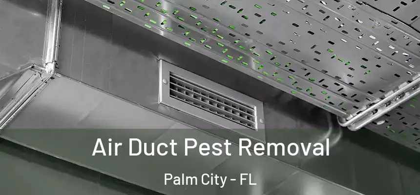  Air Duct Pest Removal Palm City - FL