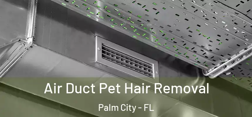  Air Duct Pet Hair Removal Palm City - FL