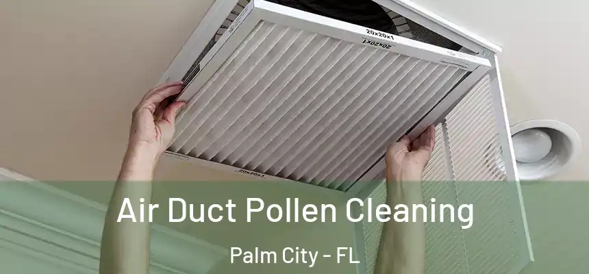  Air Duct Pollen Cleaning Palm City - FL