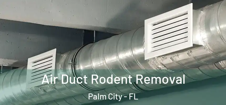  Air Duct Rodent Removal Palm City - FL