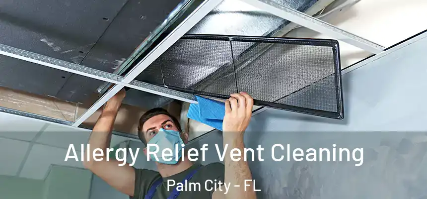  Allergy Relief Vent Cleaning Palm City - FL
