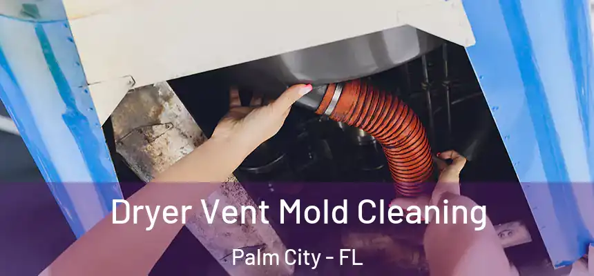Dryer Vent Mold Cleaning Palm City - FL