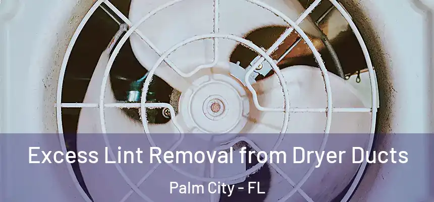  Excess Lint Removal from Dryer Ducts Palm City - FL