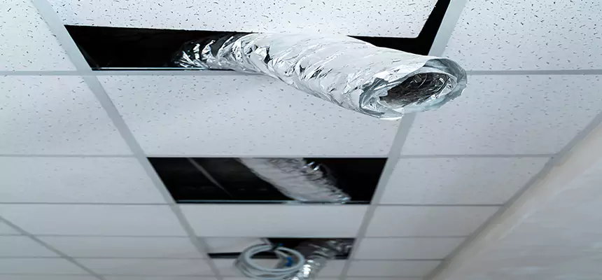 Affordable HVAC Sanitizing After Pest Removal in Palm City