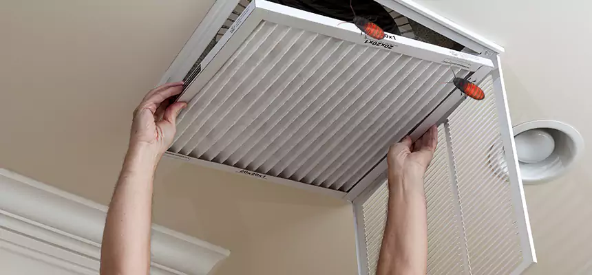 Our Insect Removal from Air Ducts Services in Palm City, FL