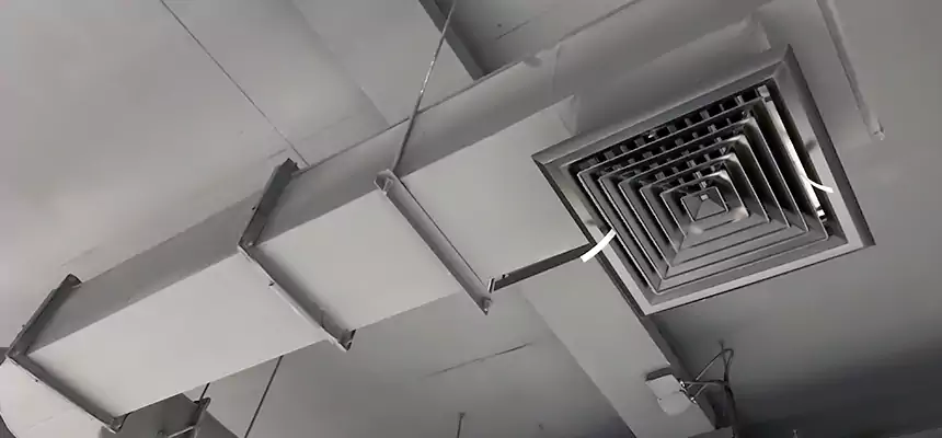 Our Pest Removal From Ducts Services in Palm City, FL