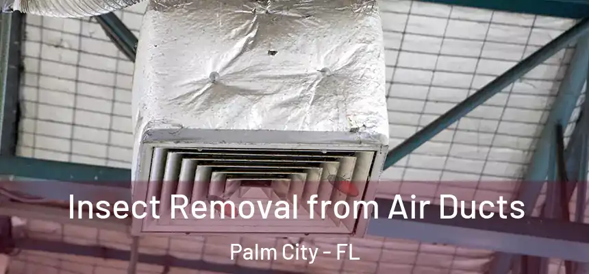 Insect Removal from Air Ducts Palm City - FL