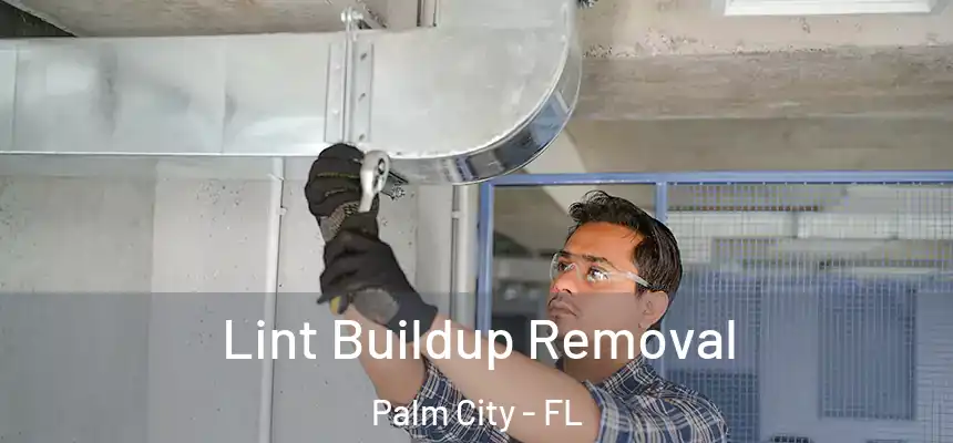  Lint Buildup Removal Palm City - FL
