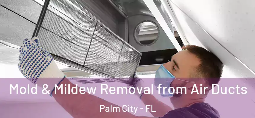  Mold & Mildew Removal from Air Ducts Palm City - FL