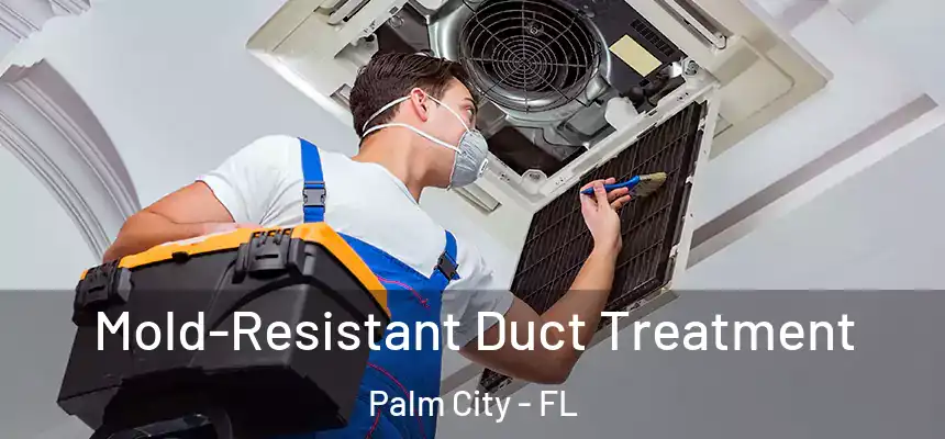 Mold-Resistant Duct Treatment Palm City - FL