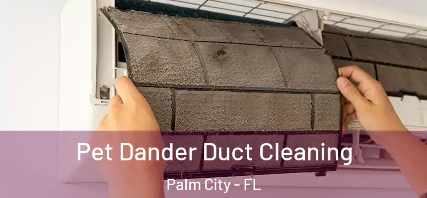 Pet Dander Duct Cleaning Palm City - FL