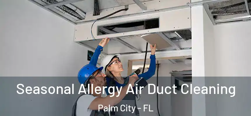  Seasonal Allergy Air Duct Cleaning Palm City - FL