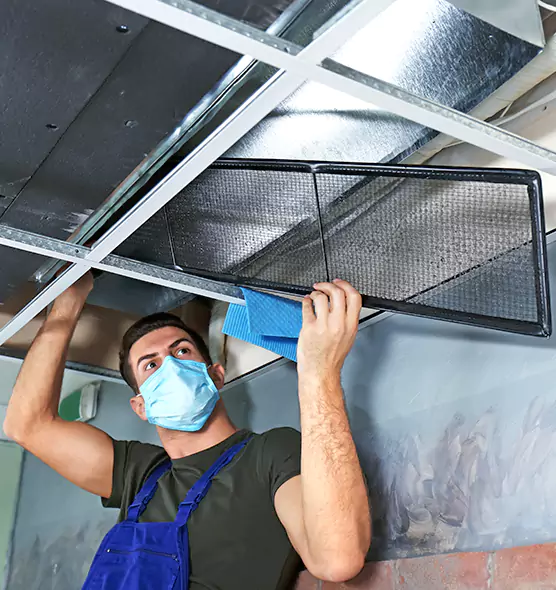 About Air Duct Bacteria Removal in Palm City