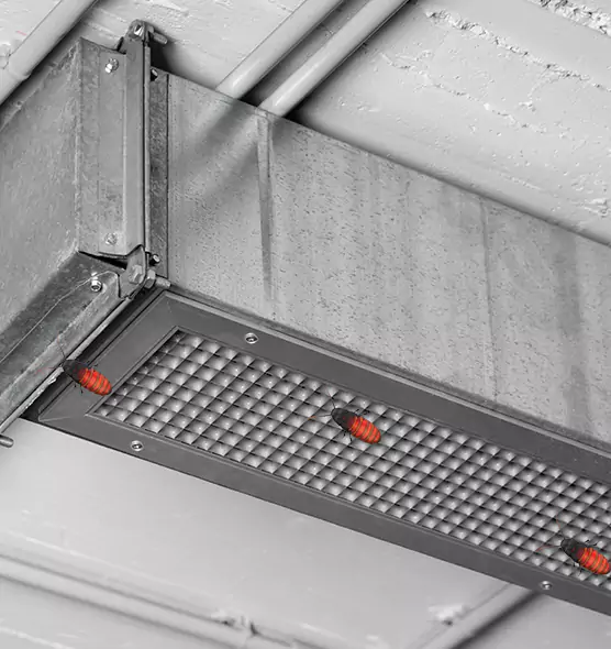 About Air Duct Cockroach Removal in Palm City, FL