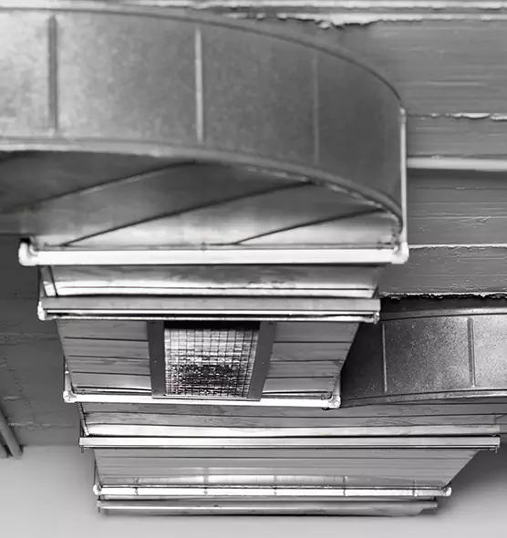 Professional Air Duct Pest Removal in Palm City, FL