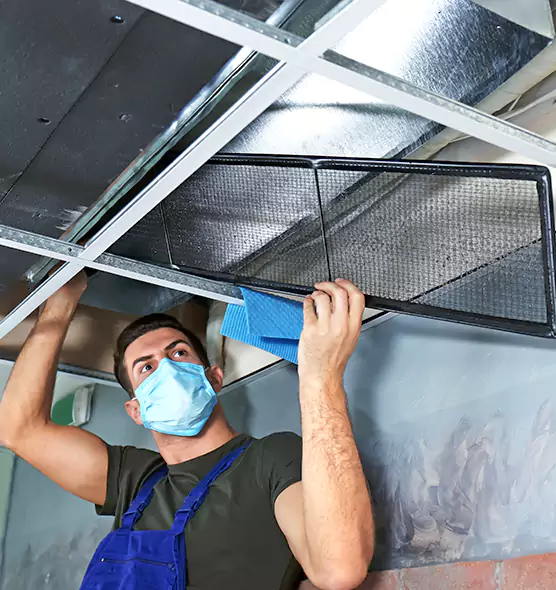 Professional Air Duct Pollen Cleaning in Palm City, FL