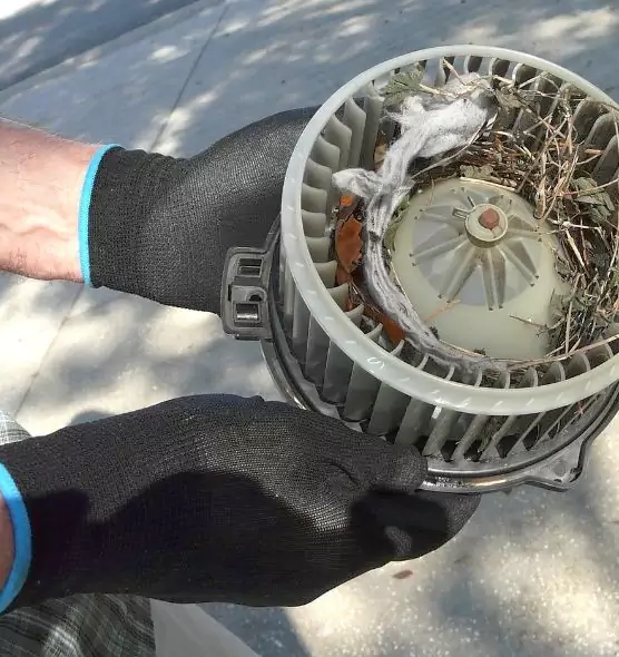 About Air Duct Rat Removal in Palm City, FL