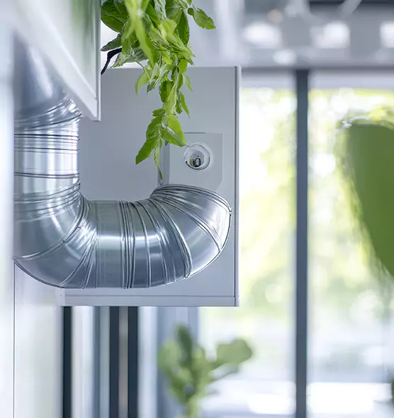 Professional Eco-Safe Dryer Vent Cleaning in Palm City, FL