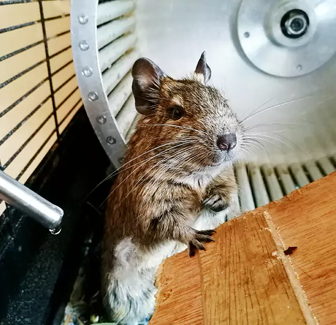 Why Homeowners & Businesses Trust Us Palm City, FL