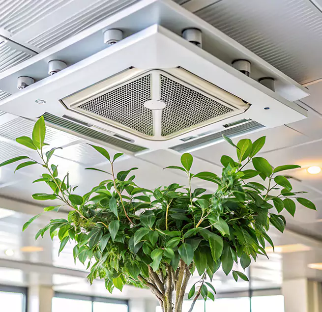 Why Homeowners & Businesses Trust Us in Palm City, FL