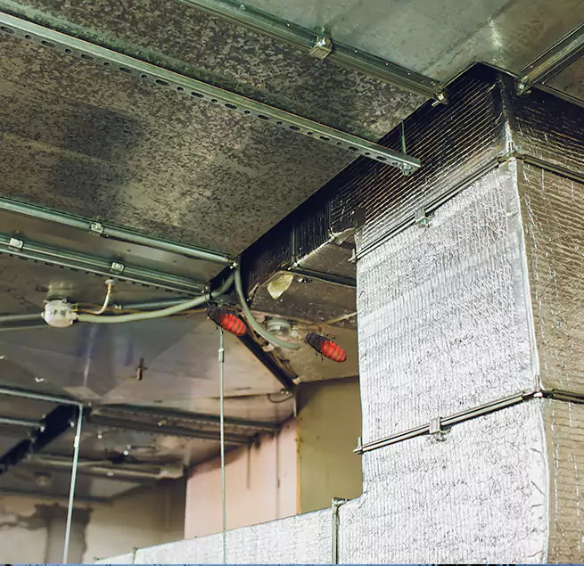 Why Homeowners & Businesses Trust Us Palm City, FL?