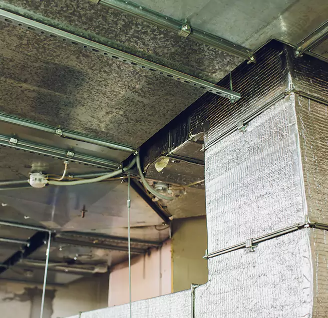 Why Homeowners & Businesses Trust Us in Palm City, FL?